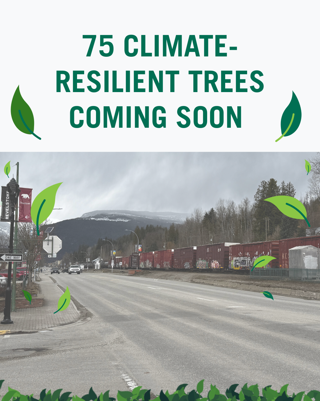 75 Climate-Resilient Trees for Victoria Road
